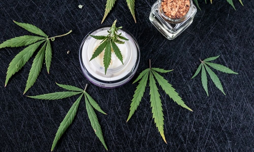 a hemp leaf laying in a jar of cannabis lotion